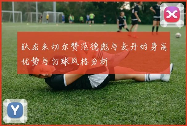狄龙米切尔赞范德彪与麦丹的身高优势与打球风格分析